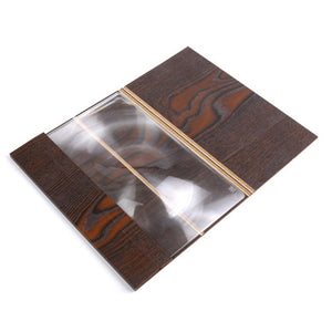 Screen Magnifier