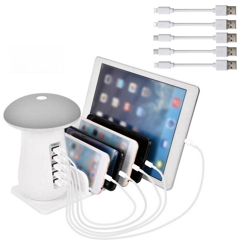 Multi Port Charger