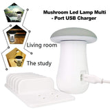 Multi Port Charger