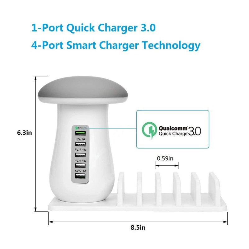 Multi Port Charger