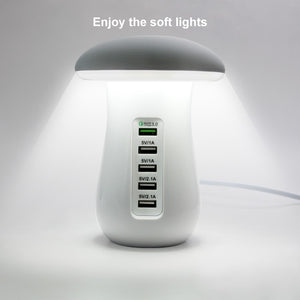 Multi Port Charger