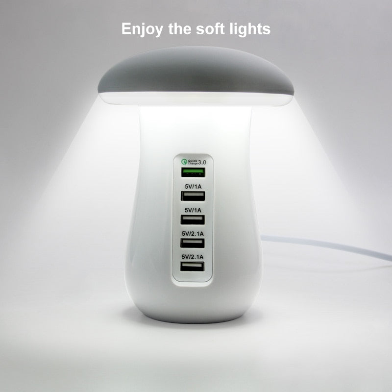Multi Port Charger