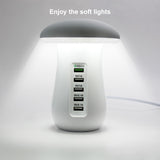 Multi Port Charger