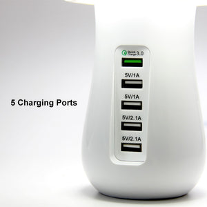 Multi Port Charger
