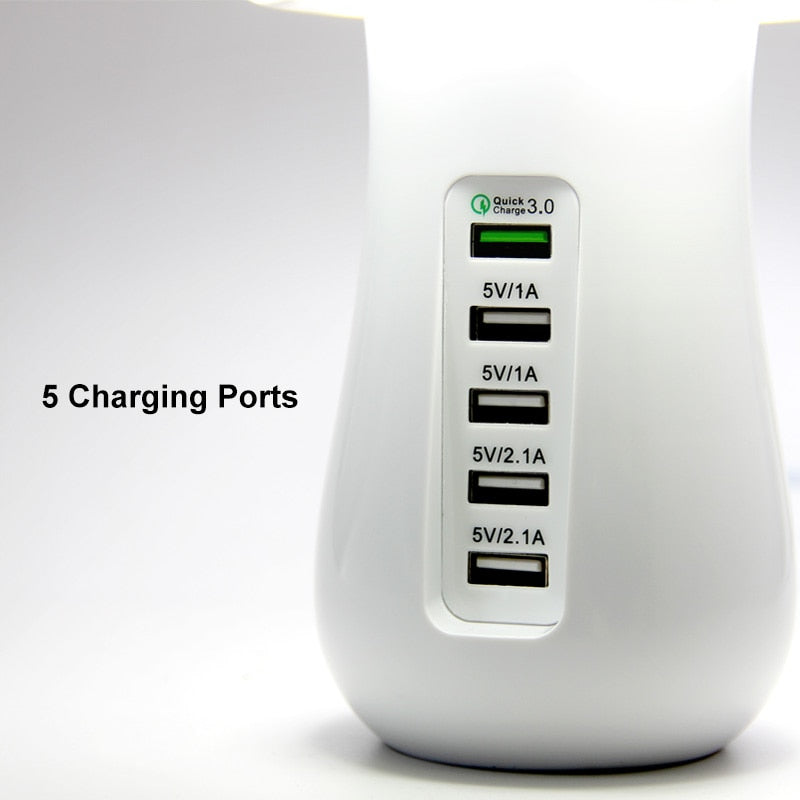 Multi Port Charger