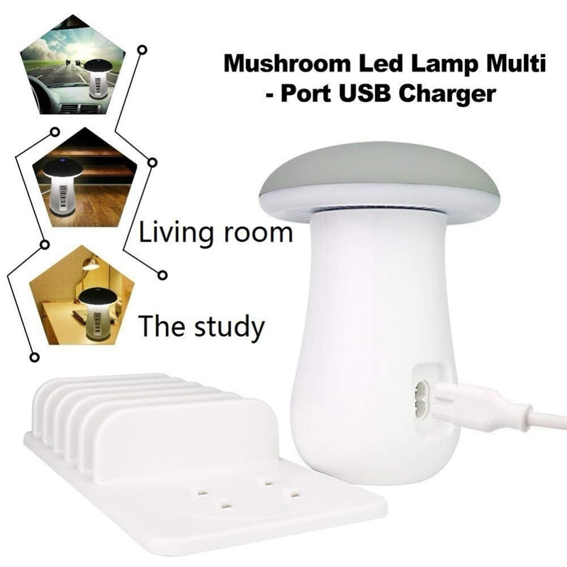 Multi Port Charger