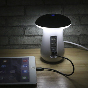 Multi Port Charger