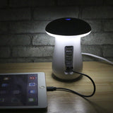 Multi Port Charger