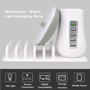Multi Port Charger