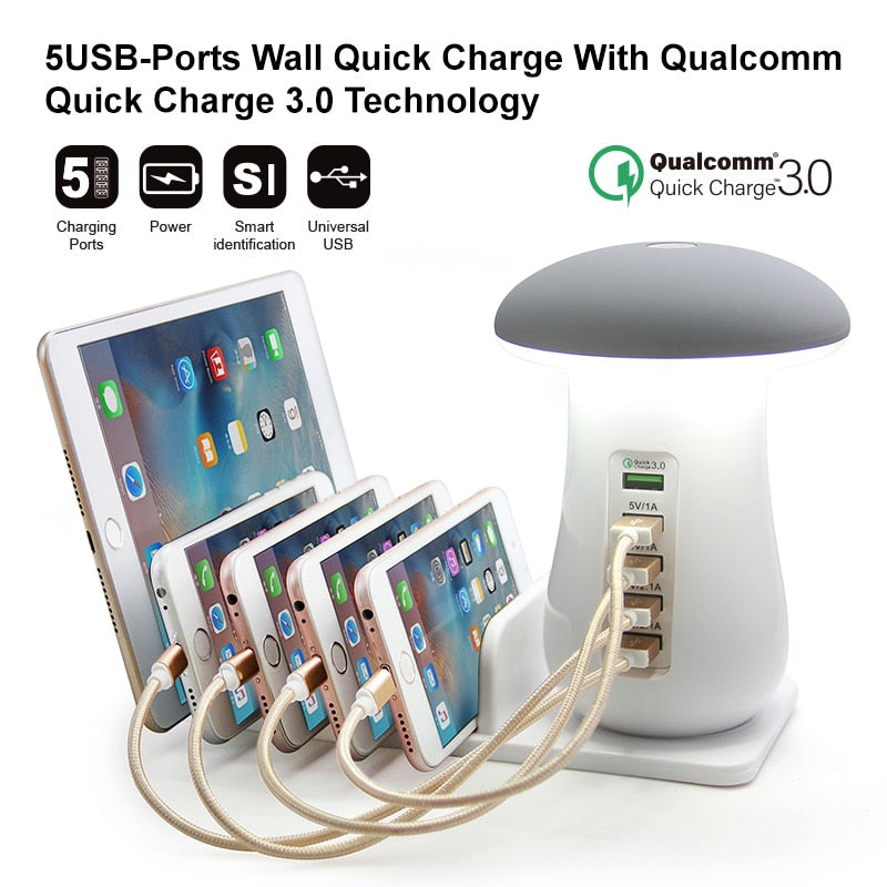 Multi Port Charger